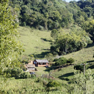 Transferência Constitucional